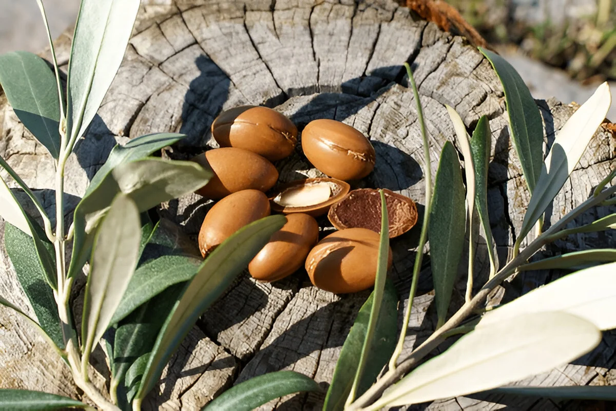 L’Huile d’argan bio : le trésor naturel du Maroc