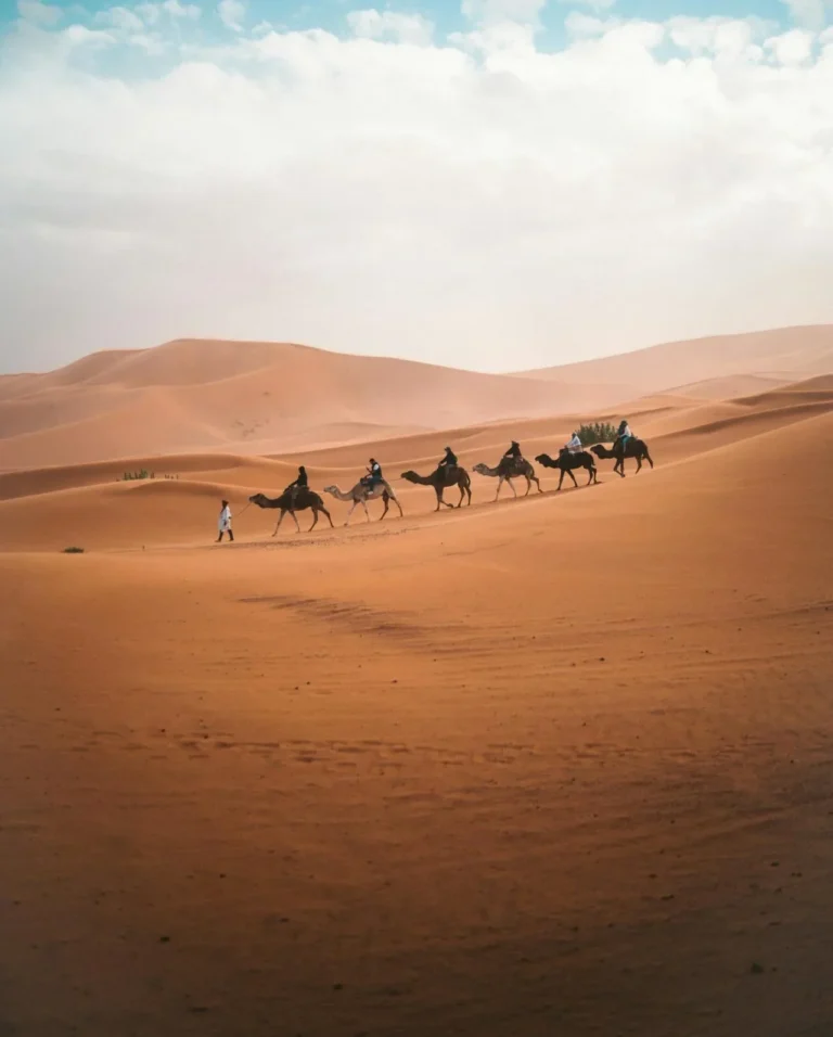 pexels taryn elliott 3889891 e1763983673209