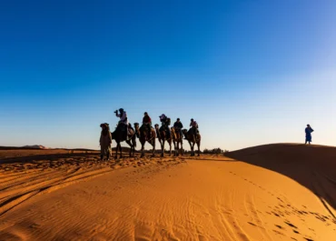 Agadir Camel Riding – Sunset Experience